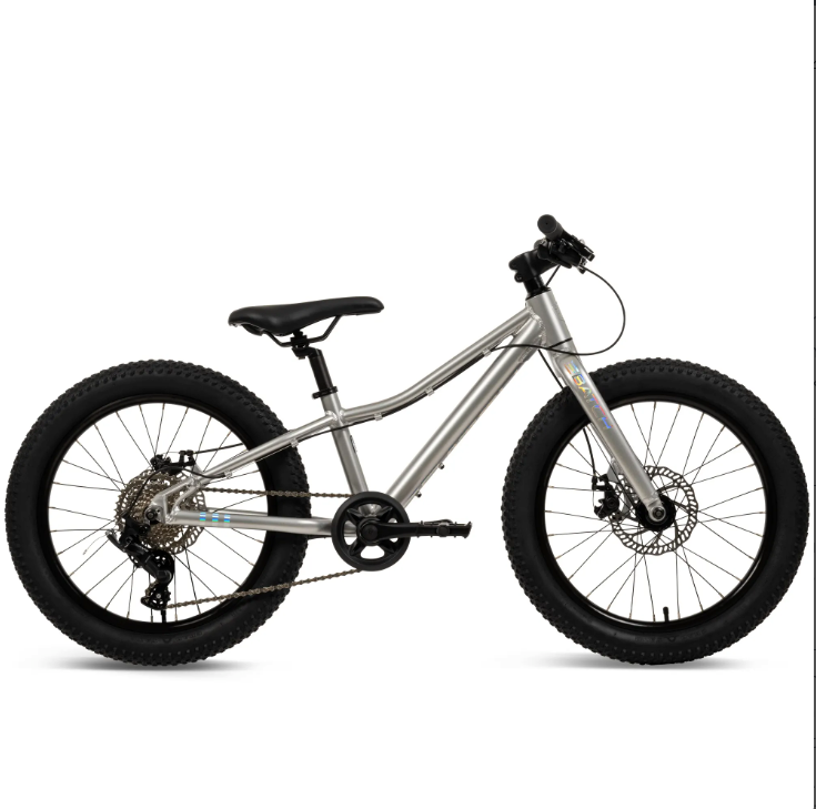 batch batch 20” kids mountain bike-color-platinum holographic