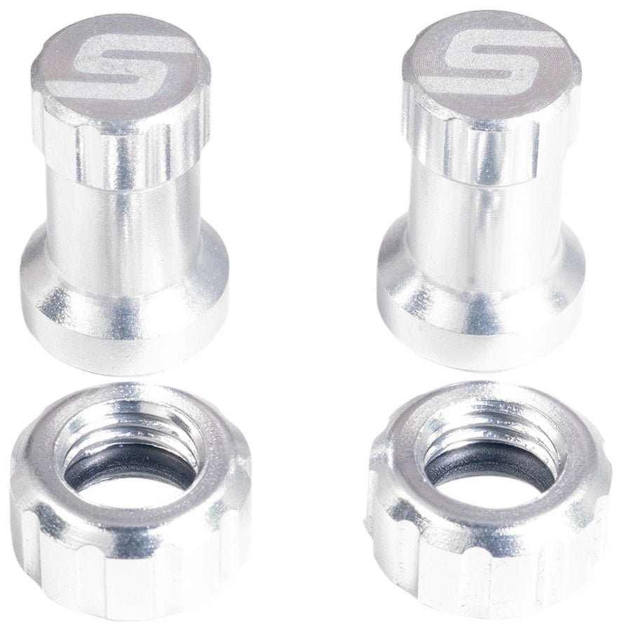 stans tubeless valve stem cap color kit-color-silver