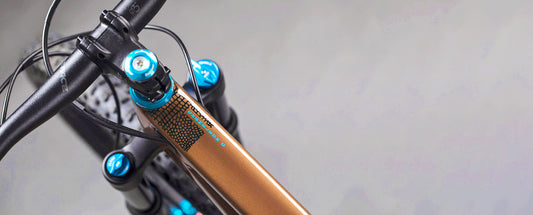 Carbon, Carbon, Carbon, Carbon….Carbon Chameleon!!