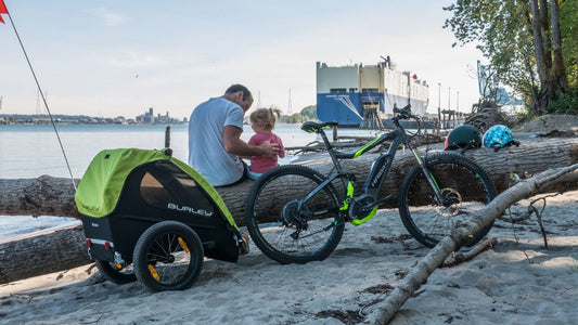 2019 Burley Trailer Lineup