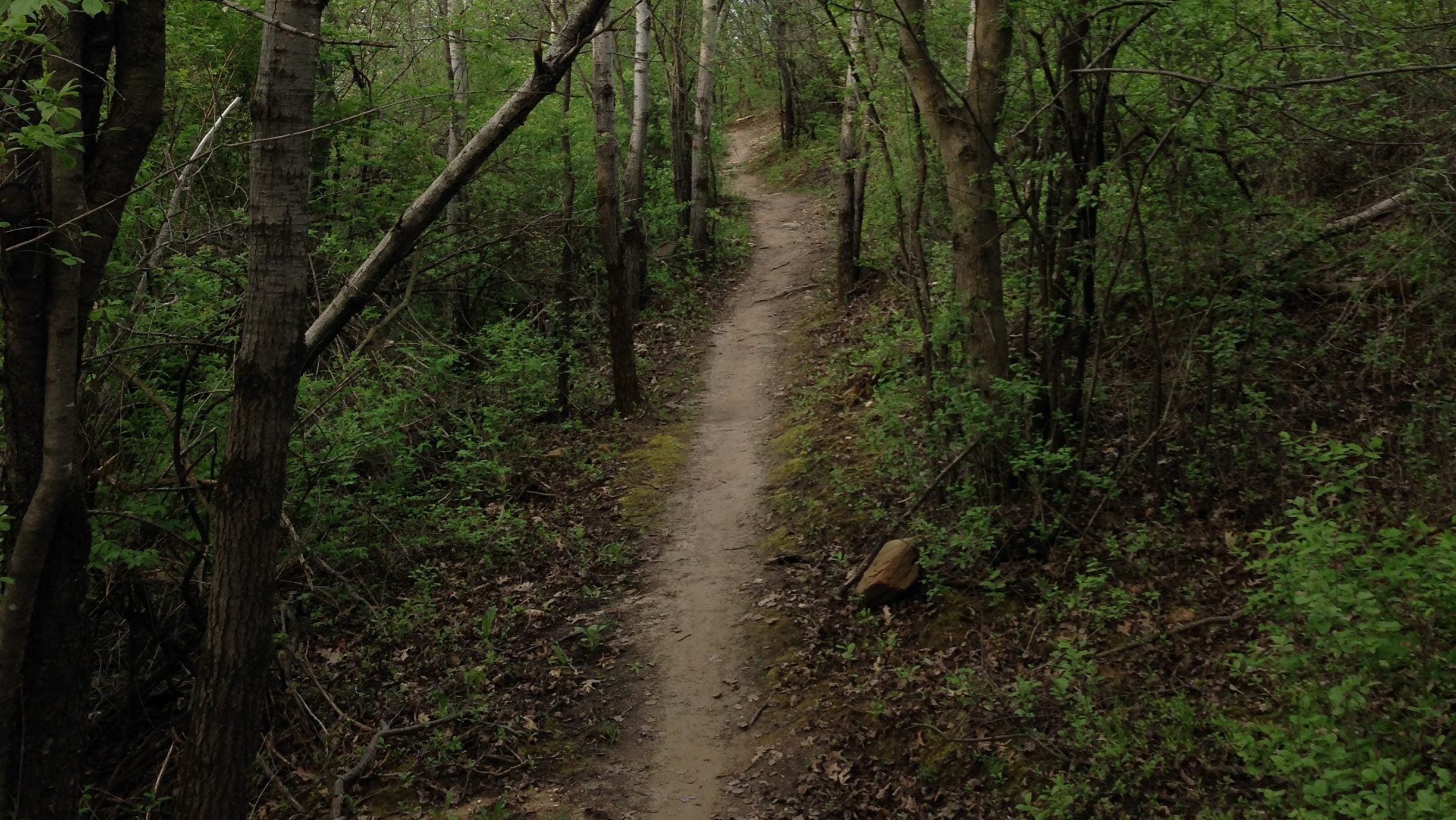 Madison Mountain Biking: Quarry Ridge – ERIK'S Bike Board & Ski