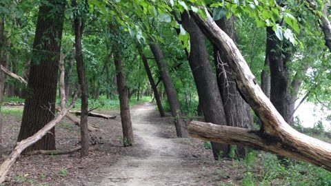Trail Highlight: Minnesota River Bottoms
