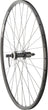 quality wheels double-wall-rim-and-disc-rear-wheel