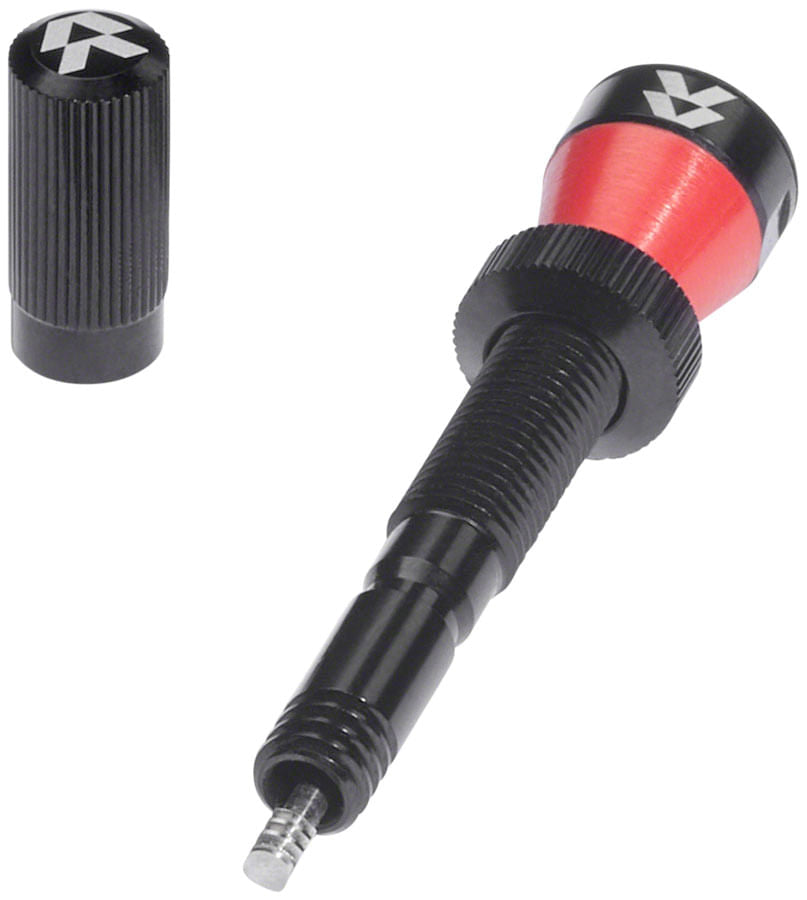 Santa Cruz Fillmore Valve | Bike Tire Accessories | ERIK'S