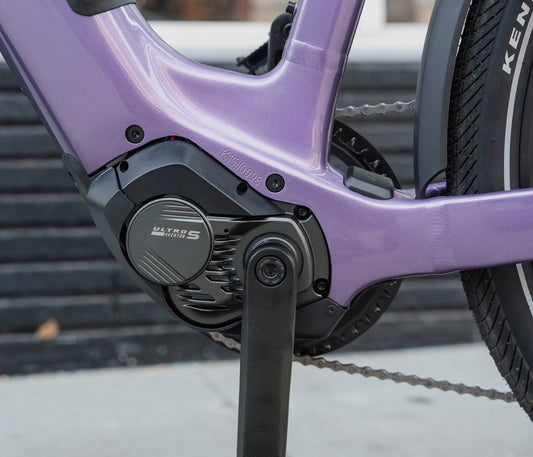 Aventon Level 4 ADV Step Thru Electric Bike