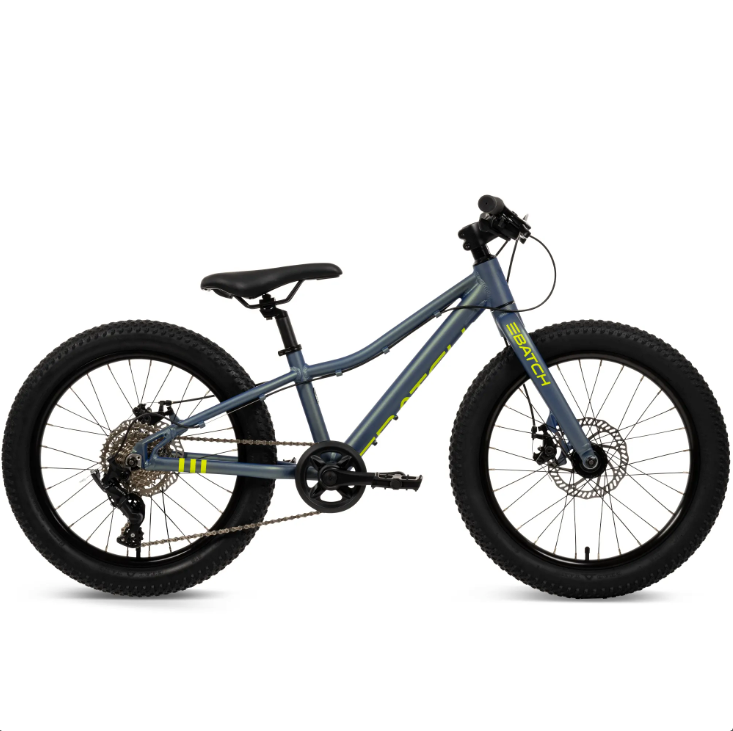 batch batch 20” kids mountain bike-color-chameleon