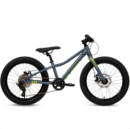 batch batch 20” kids mountain bike-color-chameleon