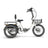 emojo 2026 dexter electric trike-color-ivory