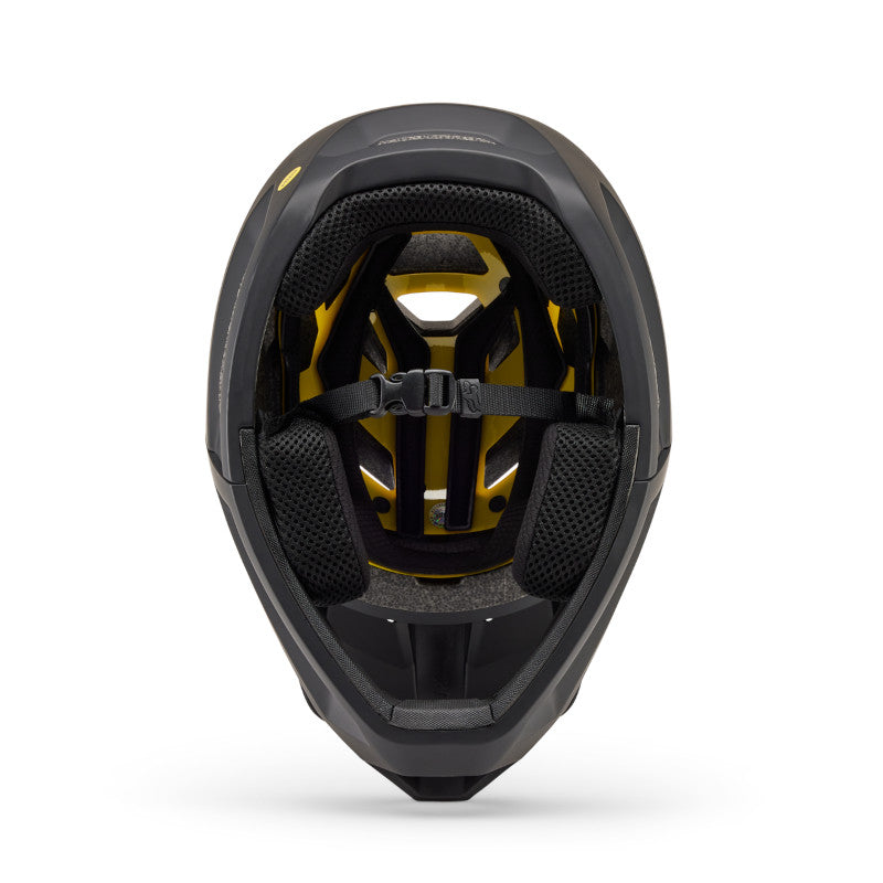 fox proframe helmet