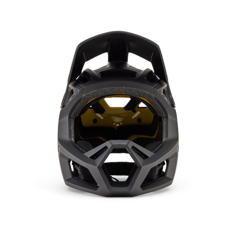 fox proframe helmet