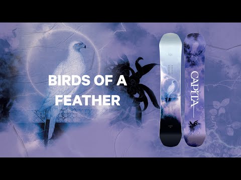 Capita Birds Of A Feather Wide | Snowboards | ERIK'S – ERIK'S Bike