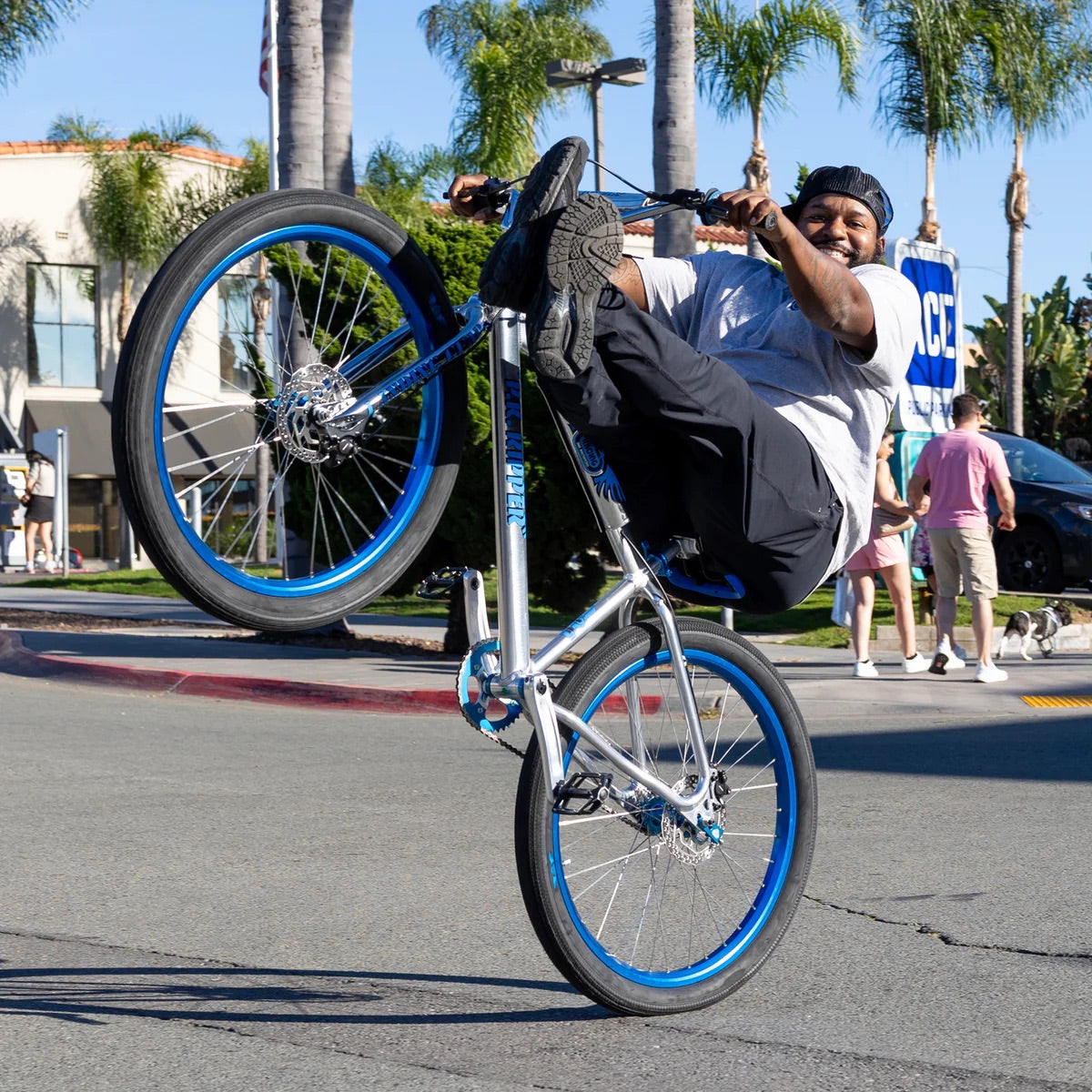 se bikes pk ripper looptail 27.5 inch bmx bike