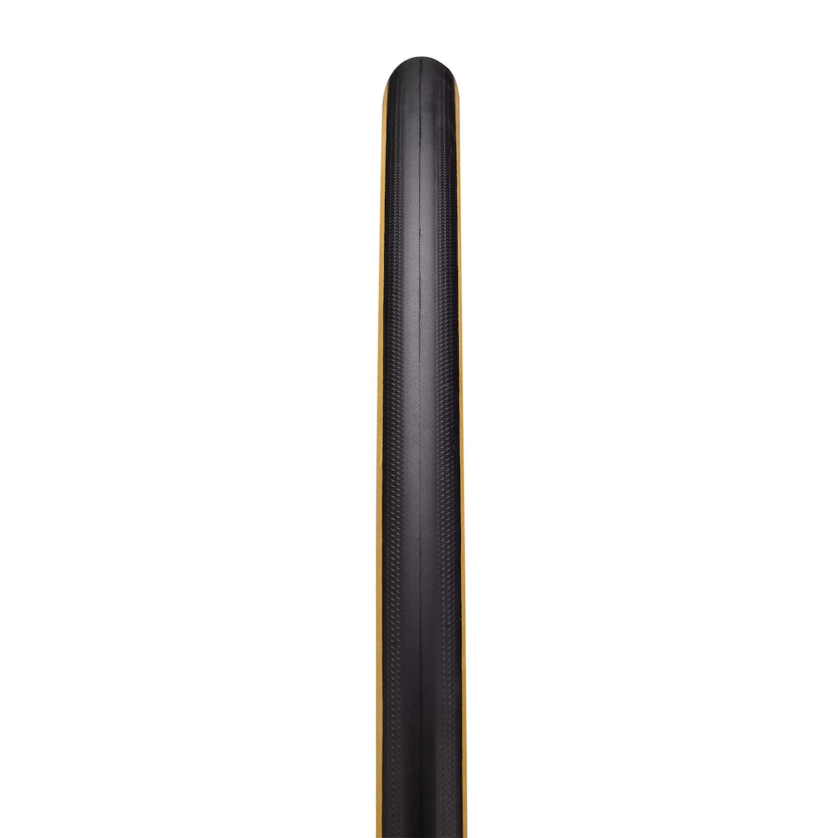 specialized 700x28 cotton tlr tire