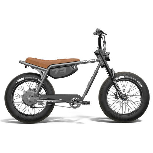 super73 z miami se electric bike-color-palladium