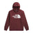 the north face men's tekno logo hoodie-color-sumac